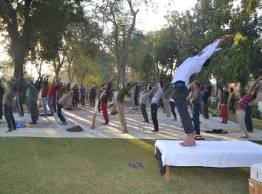 Yoga day